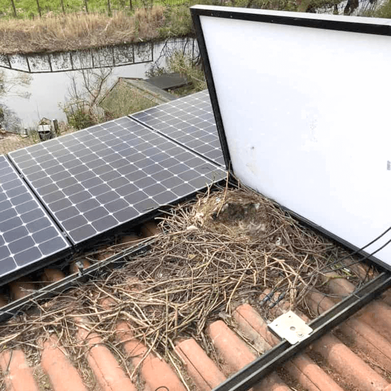 123 Montagewerk | Zonnepanelen, Vogelwering, Onderhoud